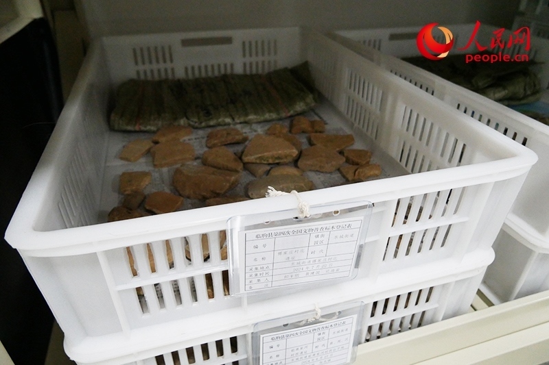 已經(jīng)整理完畢的文物標本。人民網(wǎng)記者 韋衍行攝