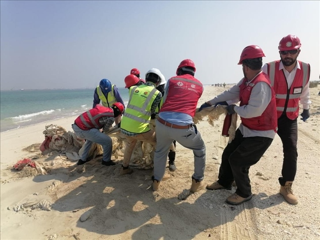 中國(guó)電建員工在撿拾海灘垃圾。中國(guó)電建供圖