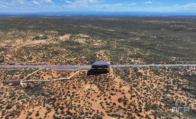 古浪縣一代代人治沙不息，讓綠色向沙漠深處不斷延伸（央廣網(wǎng)記者 李紅軍 攝）