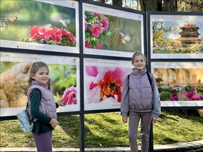 活動現(xiàn)場。中國駐保加利亞大使館供圖。