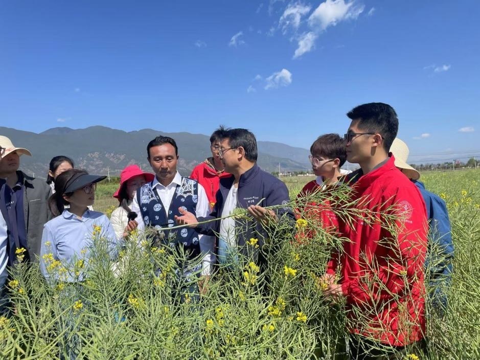 在“科技小院”授課的張福鎖。人民網(wǎng)記者李依環(huán) 攝