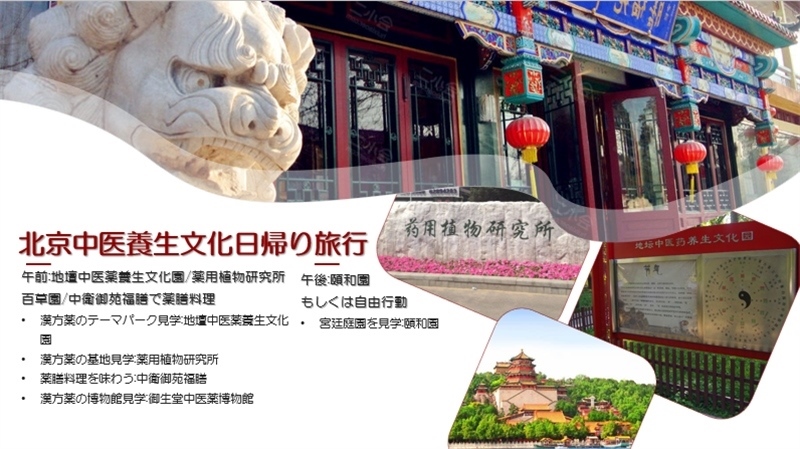 “你好！中國·休閑旅游—中國旅游說明會”宣講材料。中國駐東京旅游辦事處供圖