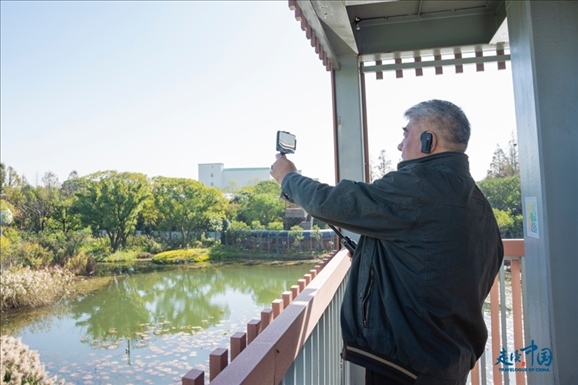 參觀白鷺園。環(huán)球網(wǎng)供圖