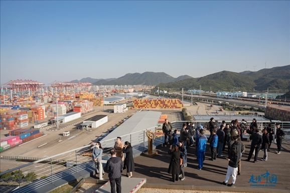 媒體團(tuán)走進(jìn)寧波舟山港北侖港區(qū)。環(huán)球網(wǎng)供圖