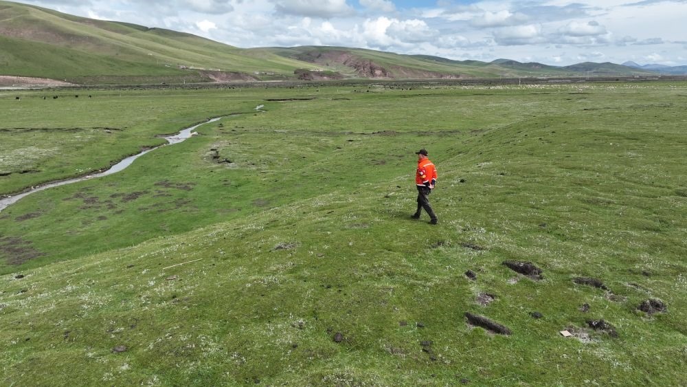 9月24日，生態(tài)管護員那瓦才郎在草場上巡護。（受訪者供圖）