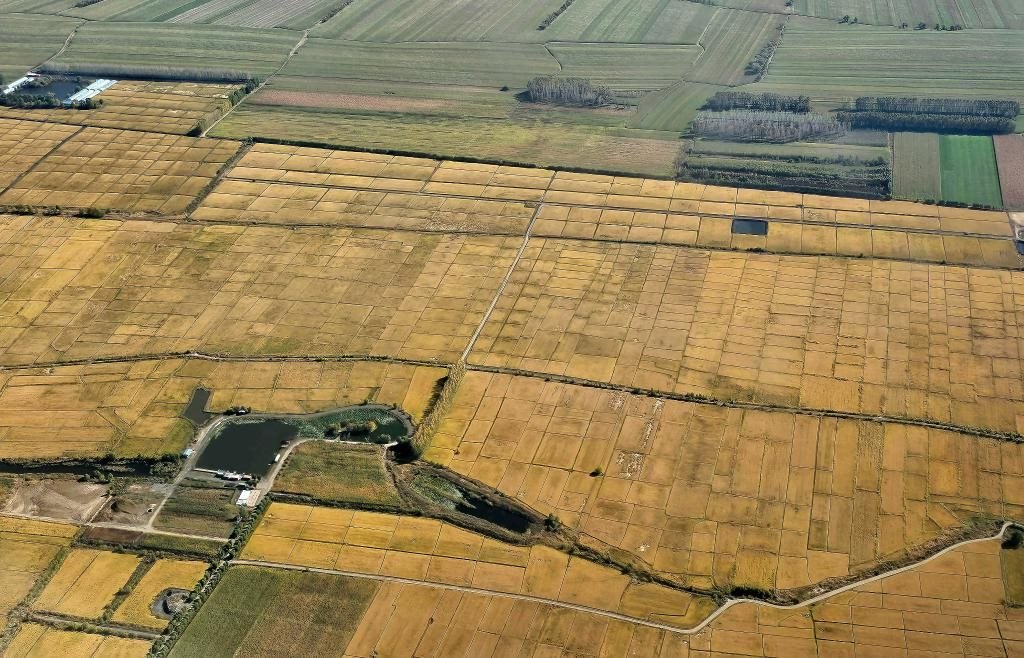 俯瞰黑龍江省哈爾濱市一處稻田（10月2日攝，無人機照片）。新華社記者 孫曉宇 攝