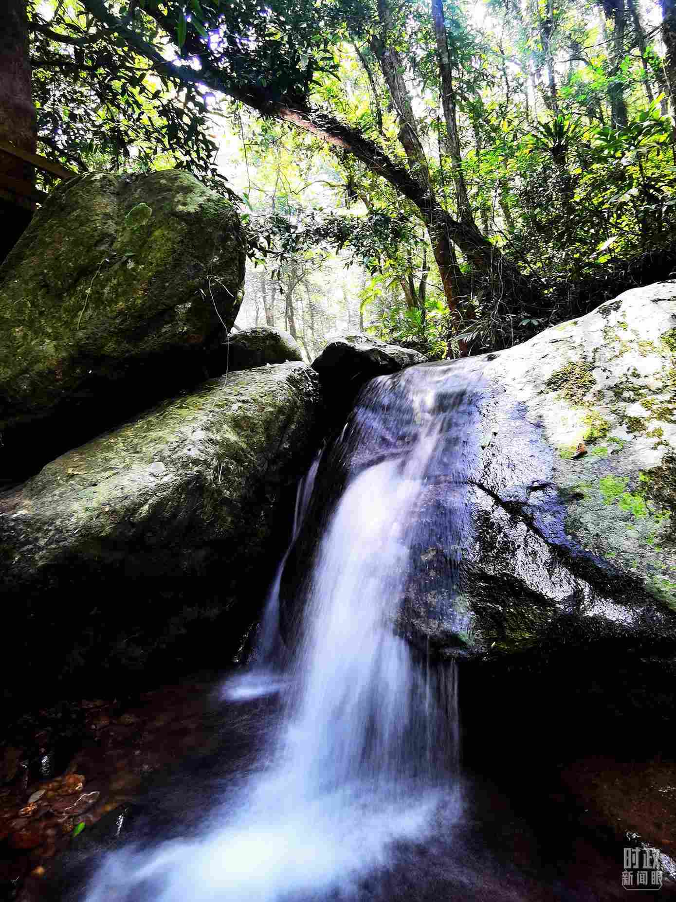 海南五指山。（總臺(tái)央視記者劉琦拍攝）
