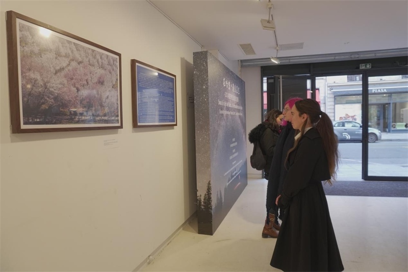 法國(guó)觀眾現(xiàn)場(chǎng)觀展(主辦方供圖)