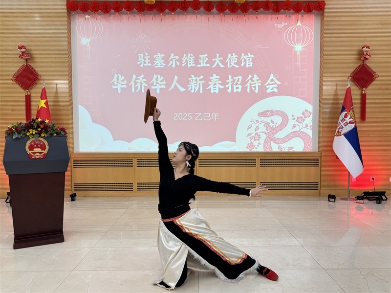 招待會現(xiàn)場表演。諾維薩德孔子學(xué)院供圖