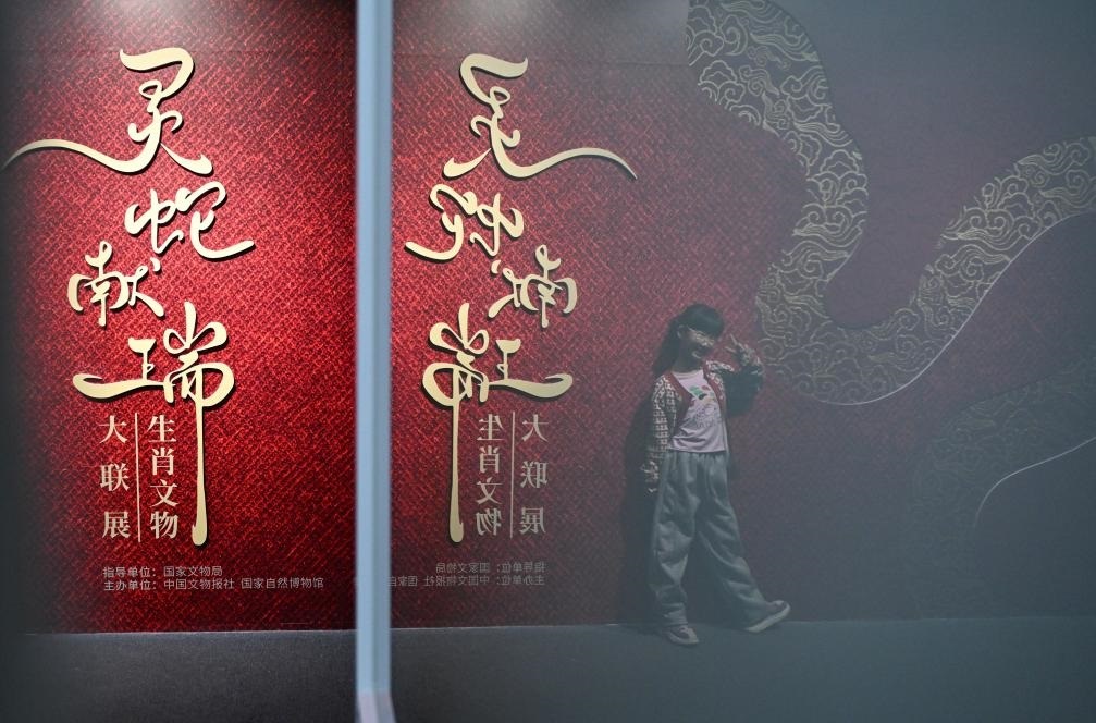 1月18日，一名小朋友在國家自然博物館舉辦的“靈蛇獻(xiàn)瑞——2025乙巳蛇年生肖文物大聯(lián)展”展覽中拍照留念。（新華社記者 陳鐘昊 攝）