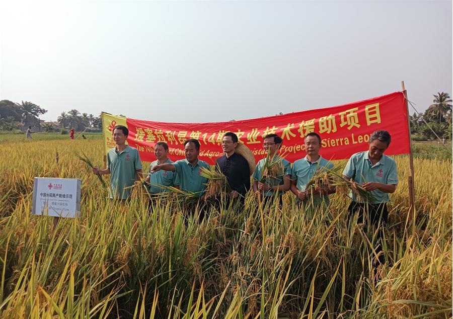 中國駐塞拉利昂大使王擎和援塞農(nóng)業(yè)專家組合影。中國援塞農(nóng)業(yè)專家組供圖
