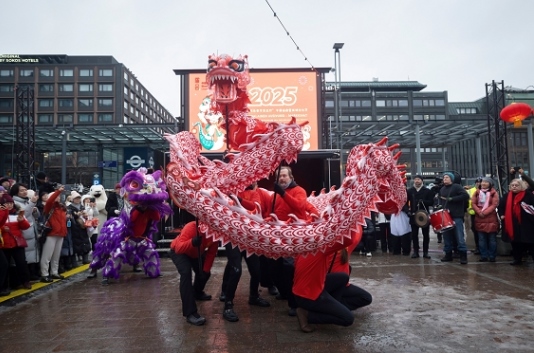 舞龍、舞獅表演。中國(guó)駐芬蘭大使館供圖