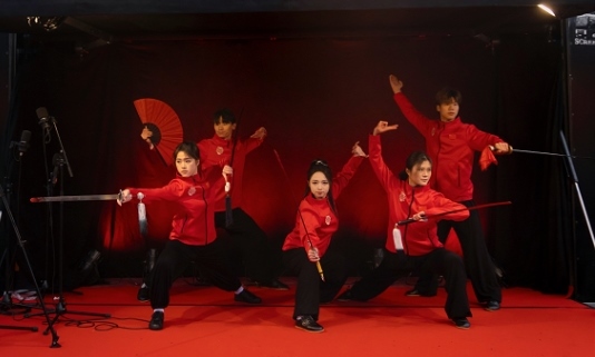 武術(shù)表演。中國(guó)駐芬蘭大使館供圖