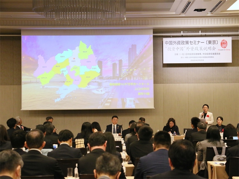 地方代表進行專題投資推介。人民網 許可攝