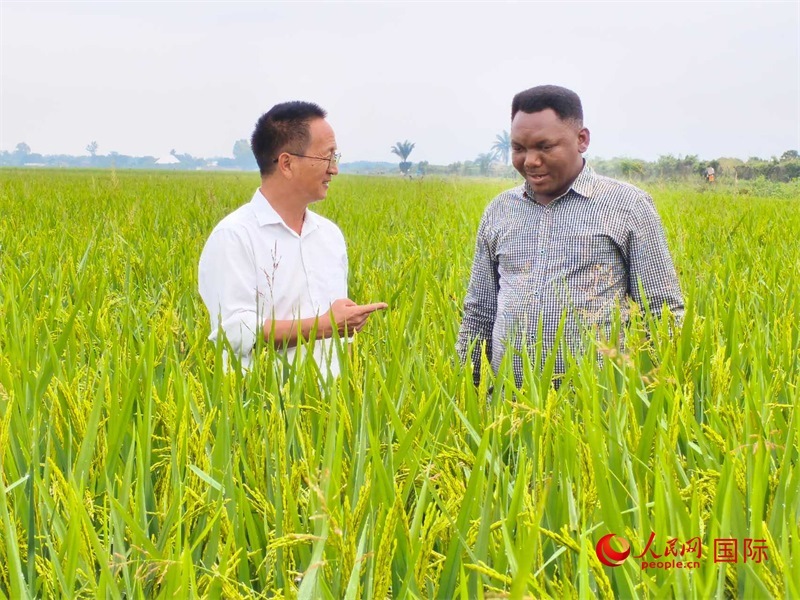 專家組組長楊華德在與農(nóng)民學(xué)員交流。人民網(wǎng)記者黃培昭攝