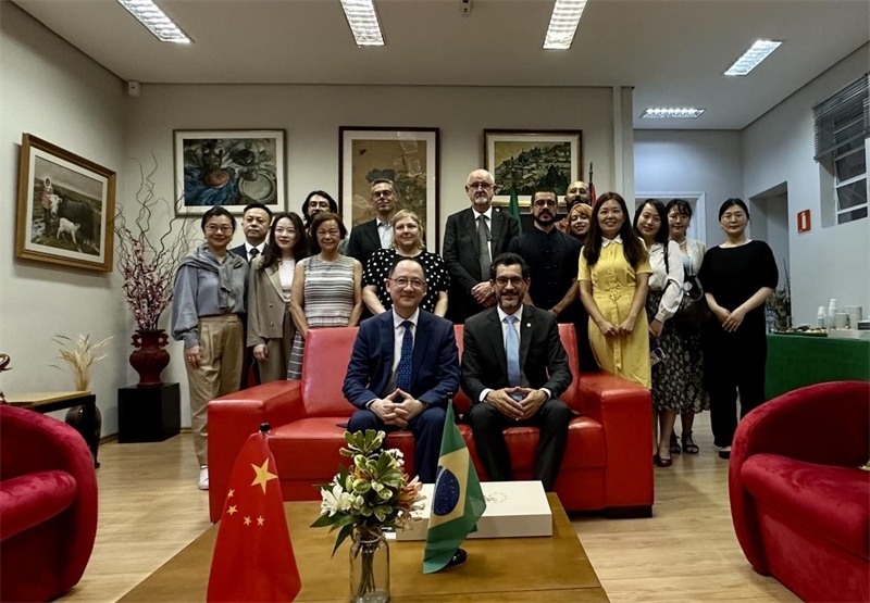 圖為參加座談會(huì)的來(lái)賓合影留念。 圣保羅州立大學(xué)孔子學(xué)院供圖