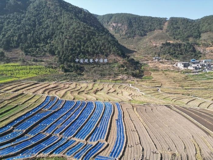 △近日，四川涼山一現(xiàn)代農(nóng)業(yè)園春耕育秧搶農(nóng)時。