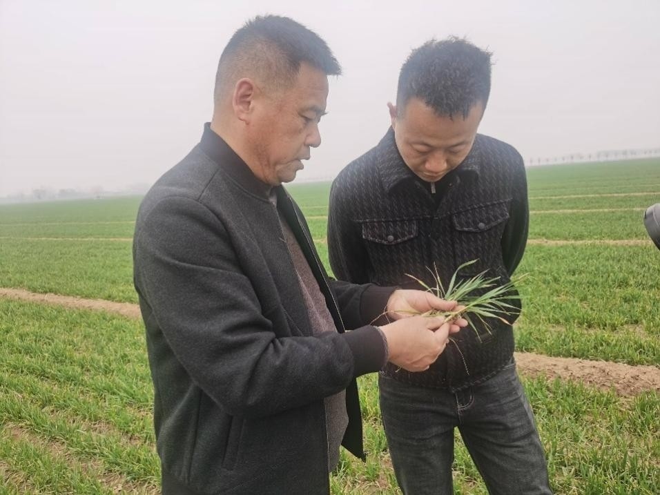 在山東濟寧汶上縣苑莊鎮(zhèn)，農(nóng)技員黃海龍對種糧大戶王振現(xiàn)場進行春耕指導。人民網(wǎng)記者 車柯蒙攝
