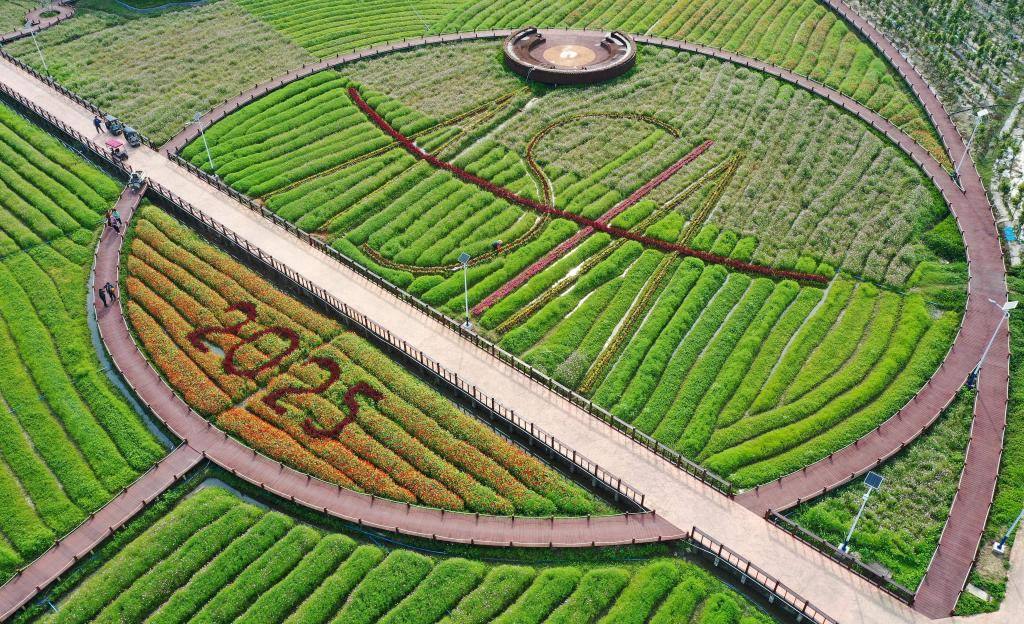 這是3月21日拍攝的瓊海博鰲南強村景色（無人機照片）。新華社記者 郭程 攝