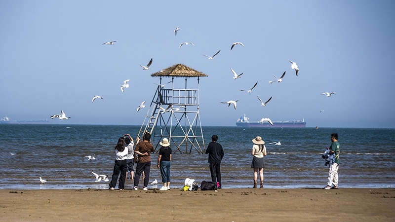 2024年5月12日，河北秦皇島，北戴河鴿子窩公園成群海鷗在天空中自由翱翔，與大海、藍(lán)天構(gòu)成了一幅美麗的畫(huà)卷。