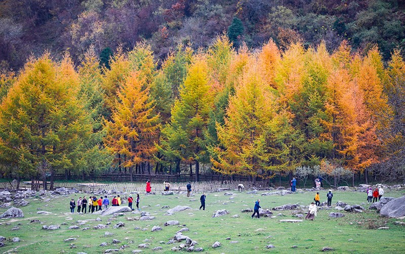 2023年10月27日，深秋時(shí)節(jié)的陜西秦嶺太子嶺五彩斑斕，進(jìn)入最佳觀賞期。
