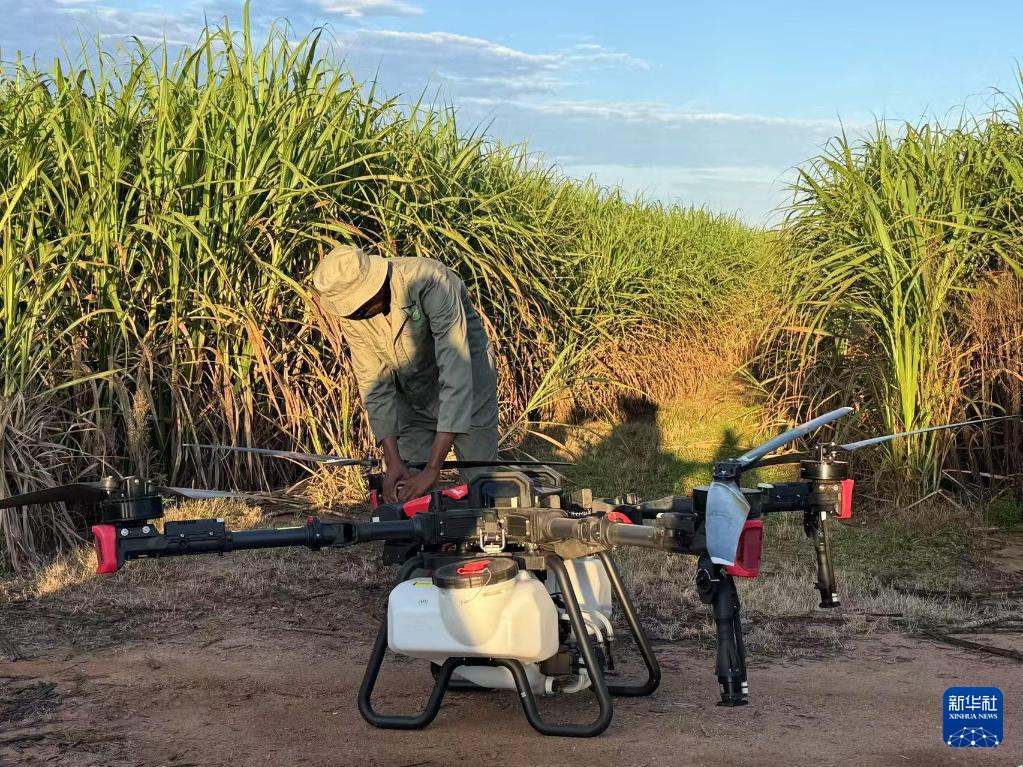 3月25日，在南非夸祖魯-納塔爾省的方廷希爾莊園，工作人員為無人機(jī)做起飛作業(yè)前的準(zhǔn)備。新華社記者 白舸 攝