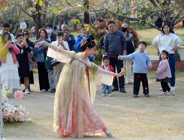 清明假期期間，上海顧村公園櫻花島上，游客在觀賞國風漢服快閃表演。（圖片來源：視覺中國）