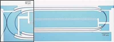 微波光量子傳感器的光學(xué)顯微照片。圖片來源：美國(guó)哈佛大學(xué)