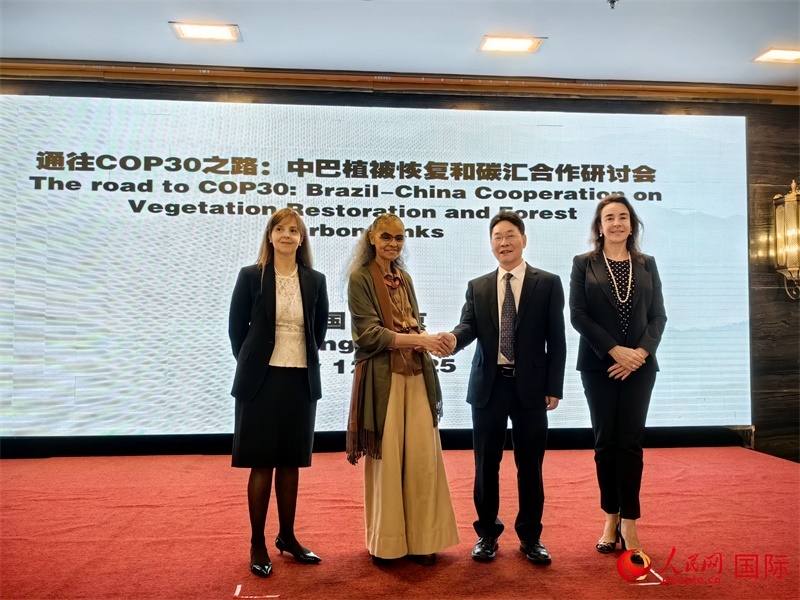 中國國家林業(yè)和草原局副局長李云卿（右二）、巴西環(huán)境和氣候變化部部長瑪麗娜·席爾瓦（左二）、巴西財政部副部長羅熙丹（右一）、巴西駐華大使館公參樂美（左一）出席“通往COP30之路：中巴植樹造林和碳匯合作研討活動”。人民網(wǎng)記者 符園園攝