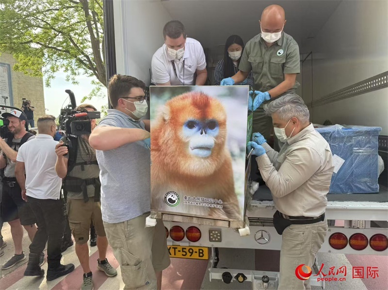 圖為活動(dòng)現(xiàn)場(chǎng)。人民網(wǎng)記者 牛瑞飛攝