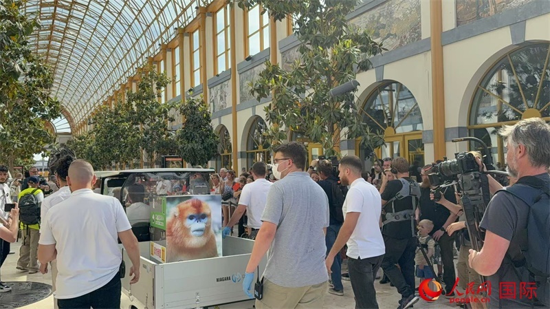 圖為活動(dòng)現(xiàn)場(chǎng)。人民網(wǎng)記者 牛瑞飛攝