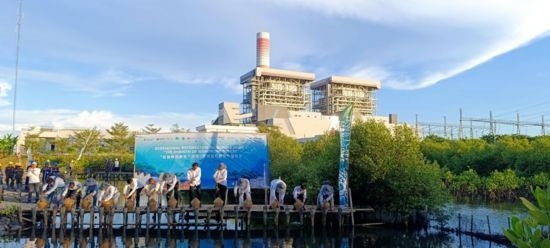 5月18日，中印尼嘉賓在爪哇7號(hào)燃煤電站舉行紅樹(shù)林補(bǔ)植儀式。記者 曹凱 攝