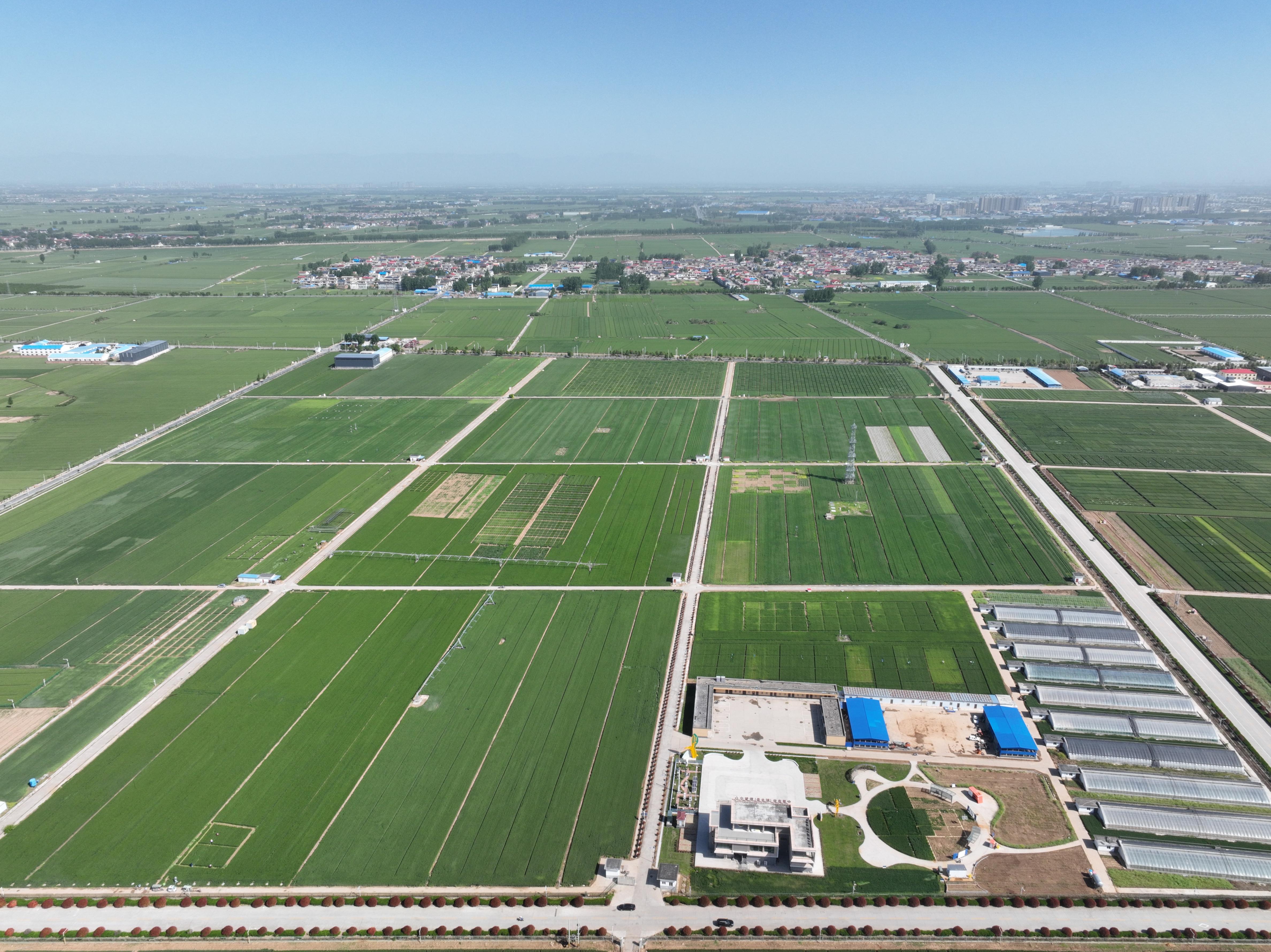 俯瞰水利部灌溉試驗(yàn)總站試驗(yàn)研究基地。受訪者供圖