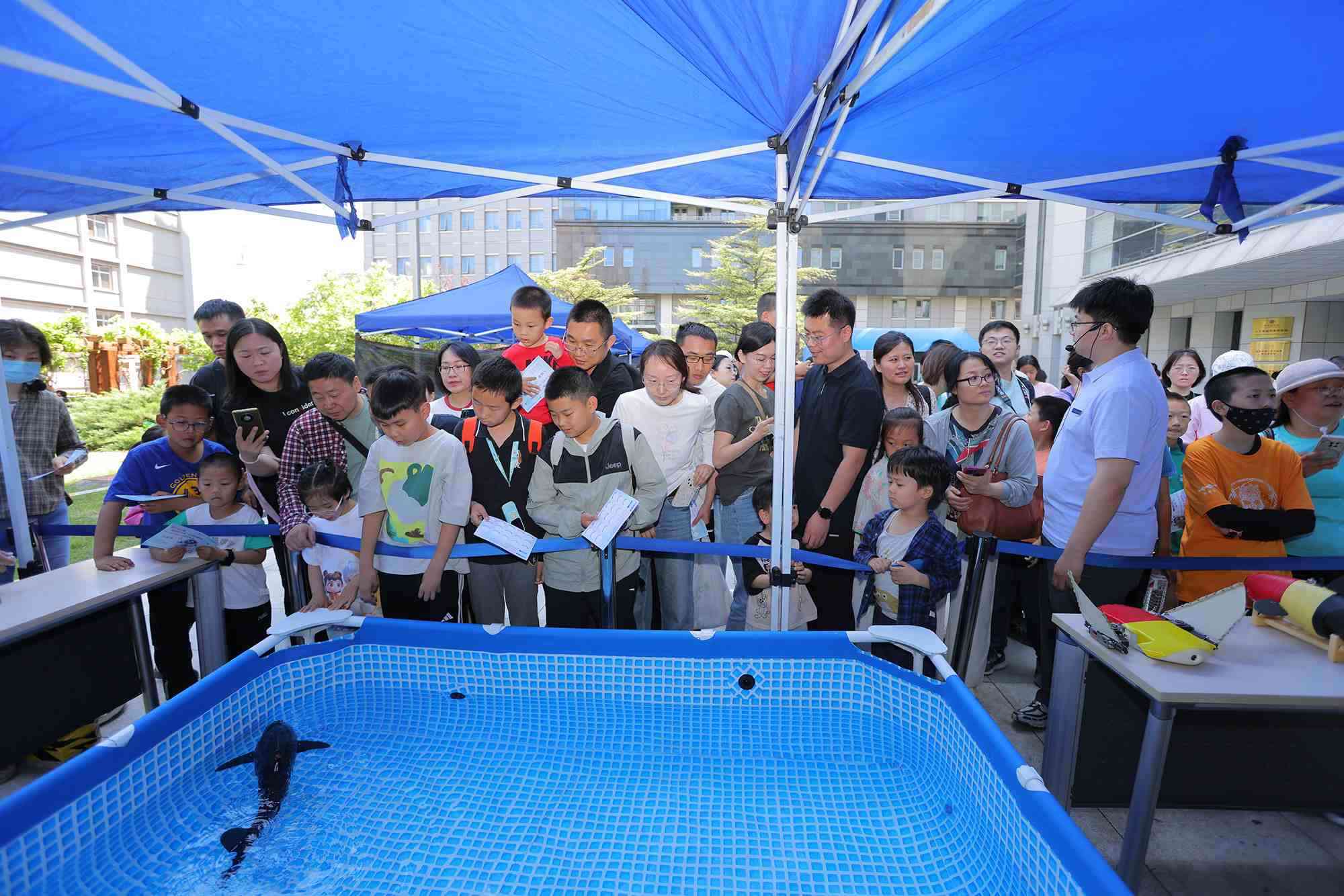 水下仿生機器魚在活動現(xiàn)場大受歡迎。中國科學(xué)院自動化研究所供圖