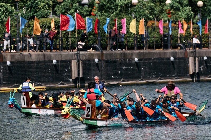 中英雙方的參賽隊(duì)伍參與龍舟競(jìng)渡。楊浩鵬攝